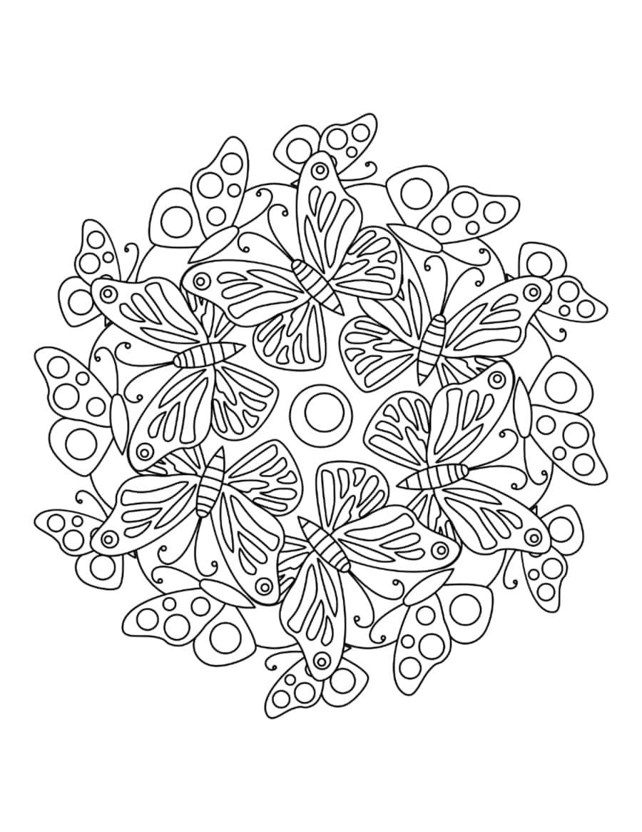 Butterfly Circle Of Butterflies Tracing Worksheets Pdf Free Vectors
